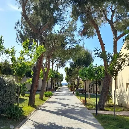 Voi Le Muse Essentia Zambrone