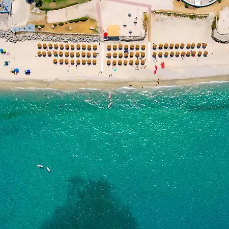 Voi Le Muse Essentia Zambrone