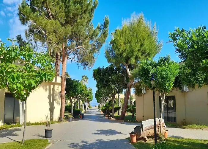 Voi Le Muse Essentia Zambrone