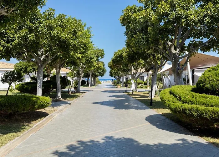 Voi Le Muse Essentia